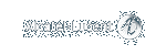 Alcatel-Lucent